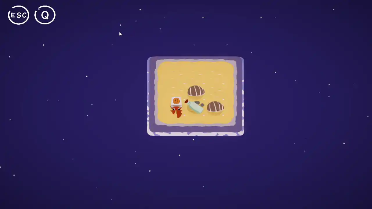 A hermit crab is finding a house