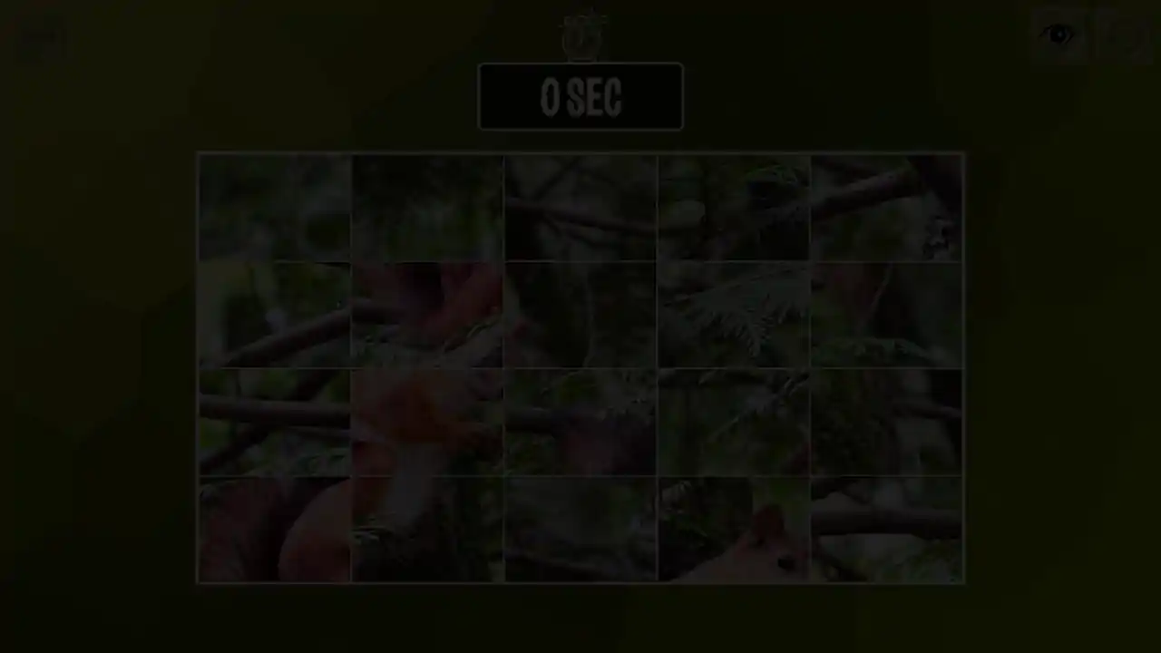 Easy puzzle: Animals