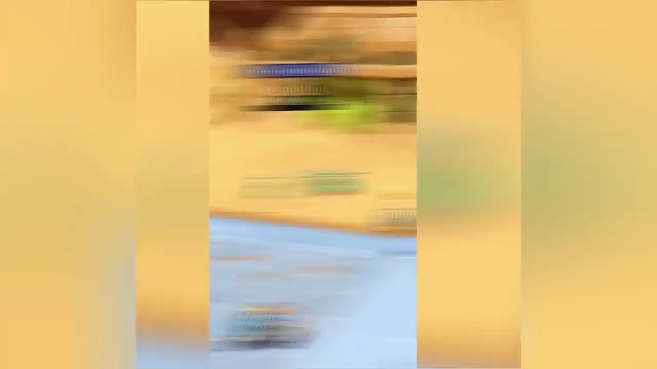 赛尔英雄(预约)