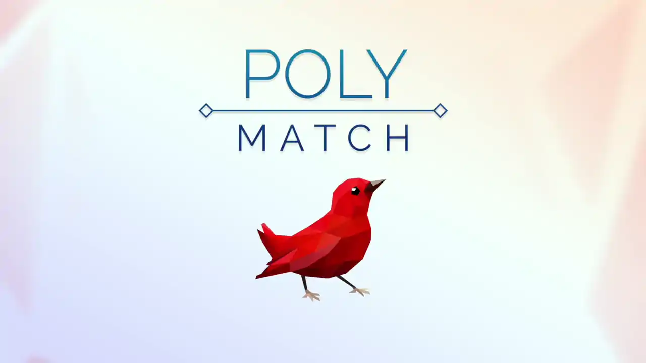 Poly Match