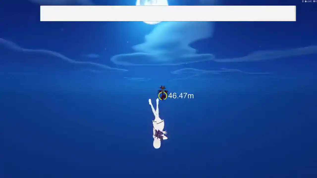 月下にて舞う | Dancing in the moonlight