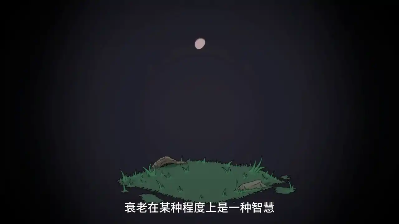 莱拉日记