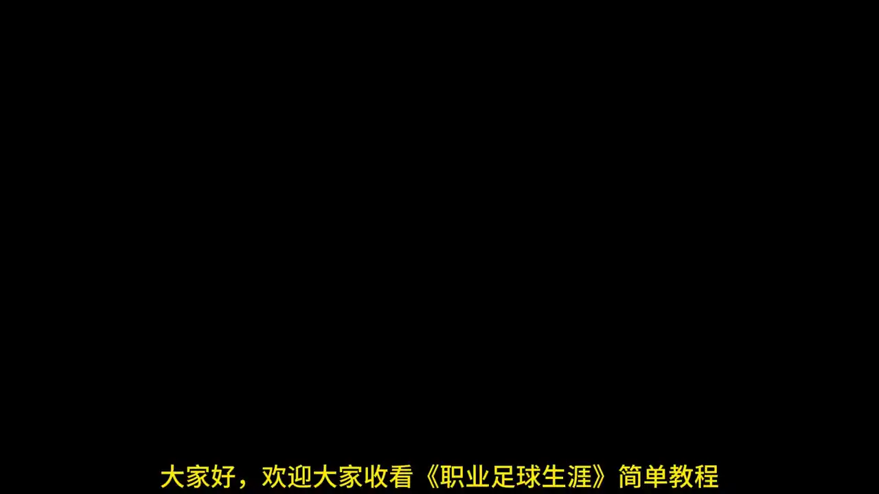职业足球生涯