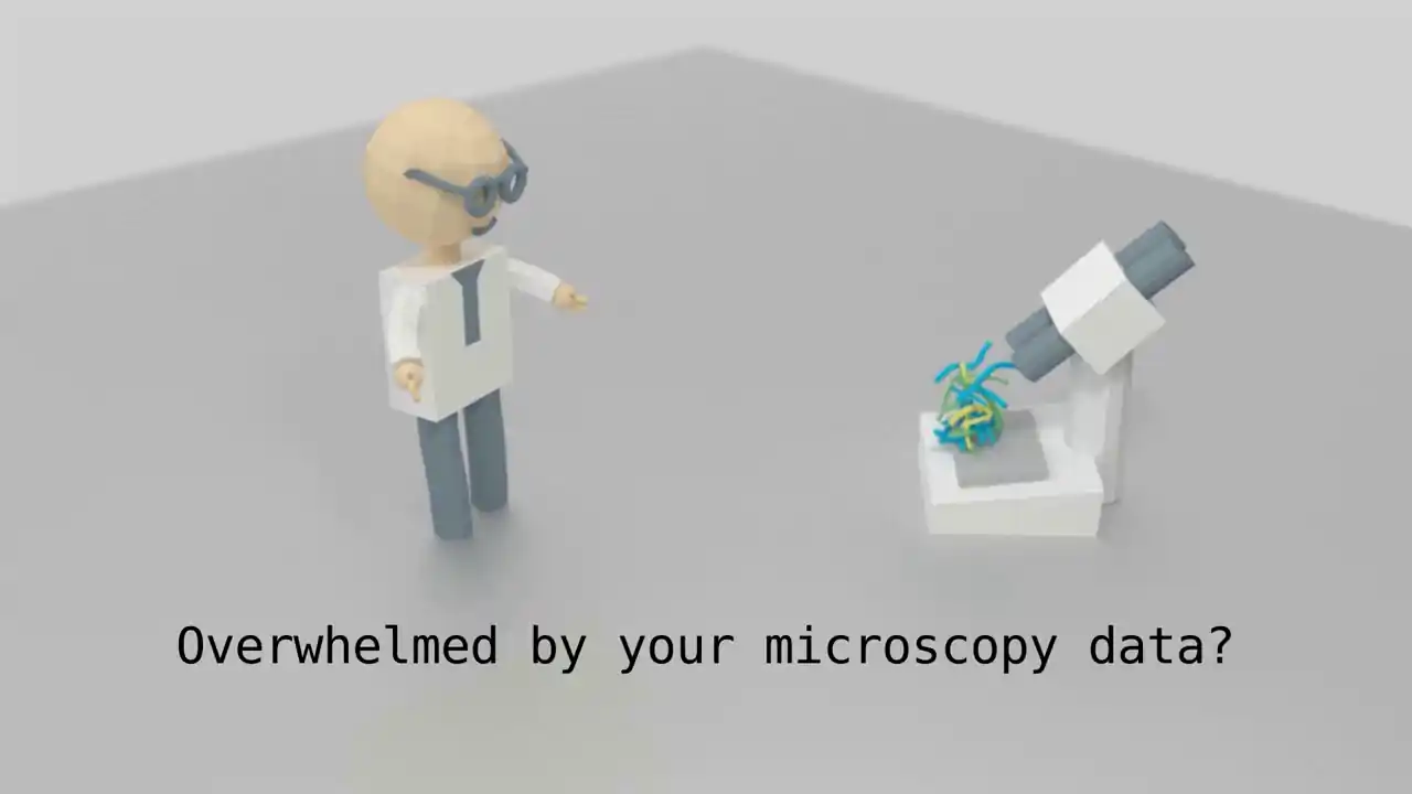 Virtual Reality Neuron Tracer