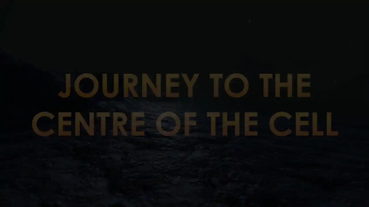 Journey to the Centre of the Cell