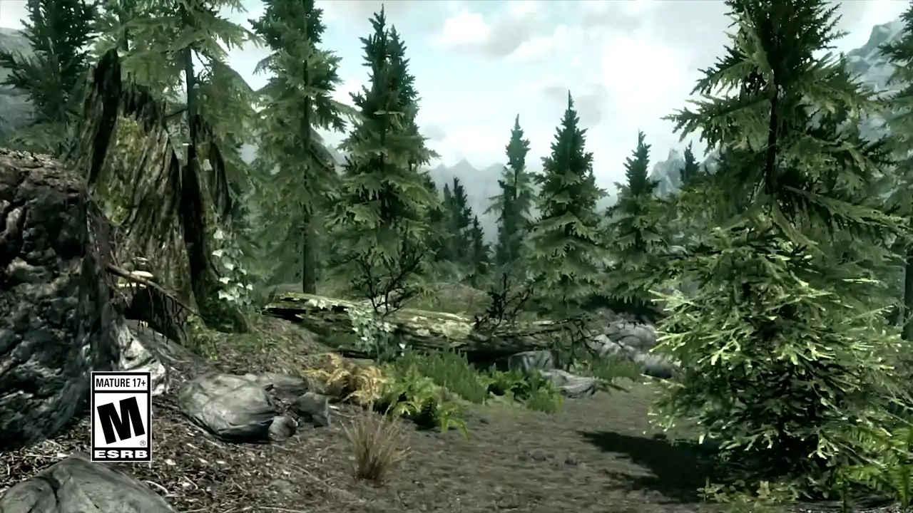 The Elder Scrolls V: Skyrim Special Edition
