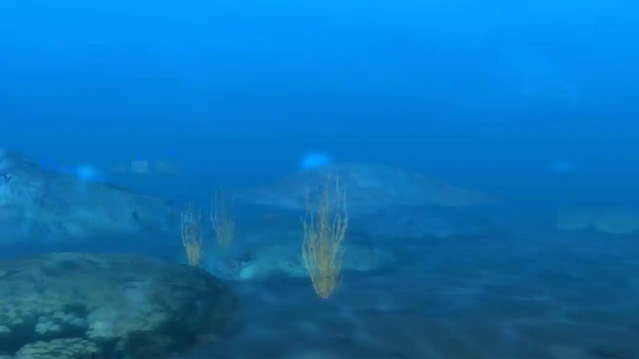 NEO AQUARIUM - The King of Crustaceans -