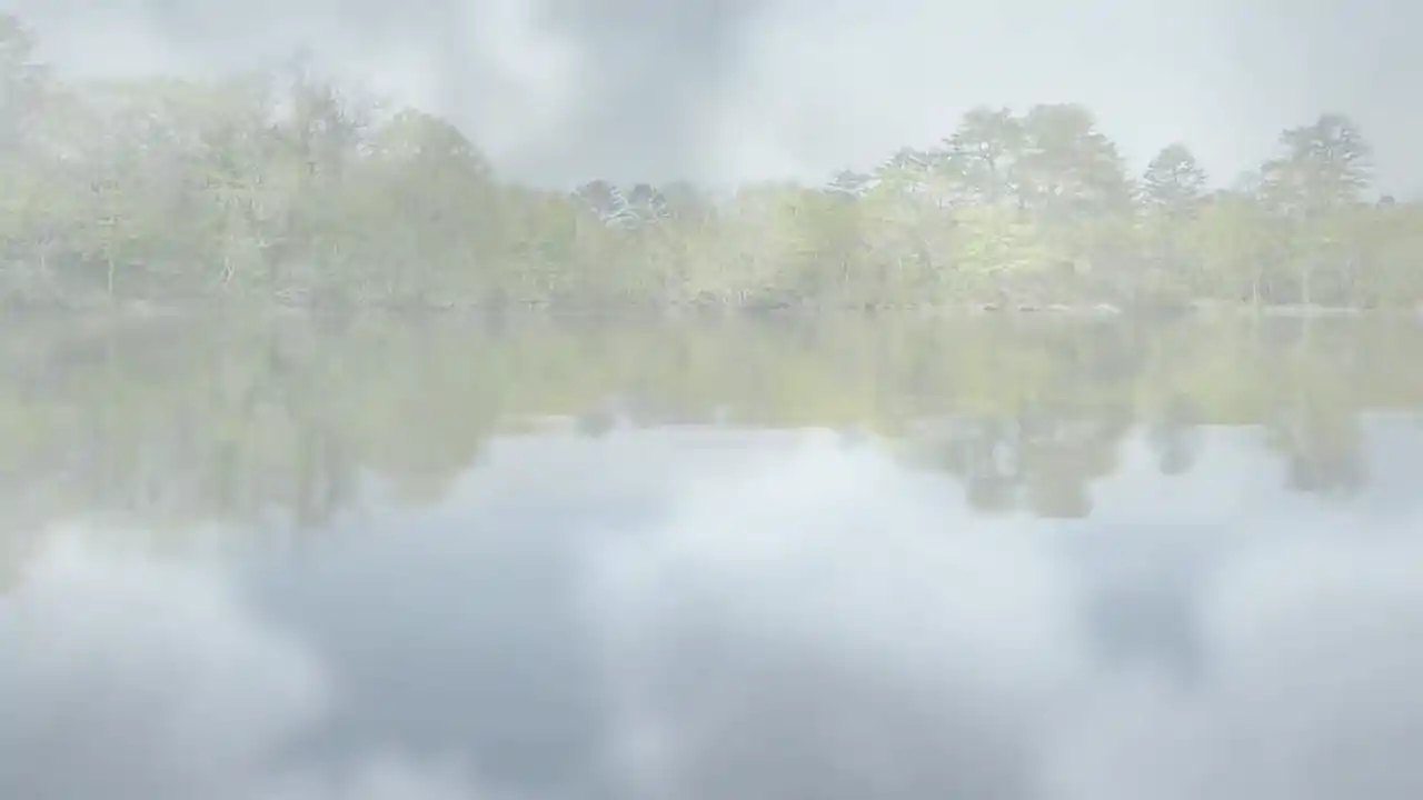 荒野钓鱼1