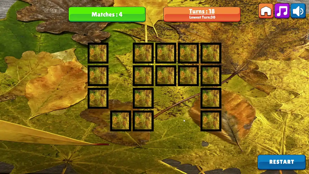 OG Memory: Fall 2K23